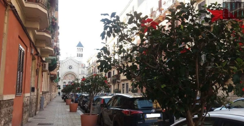 Gli "irrudicibili" di Madonnella: �Collette e fiori per abbellire il nostro dimenticato rione�